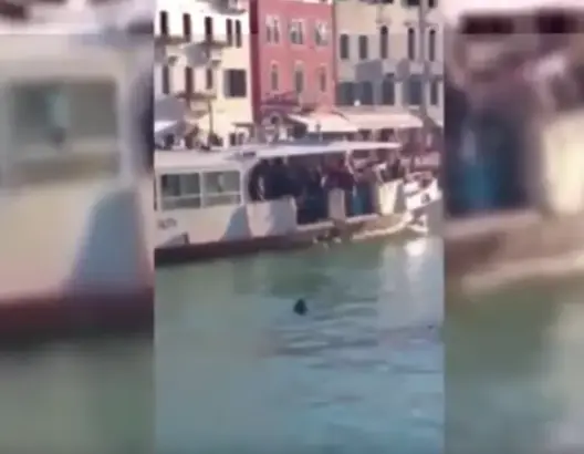 صادم.. لاجئ يغرق في البندقية والمارة يضحكون