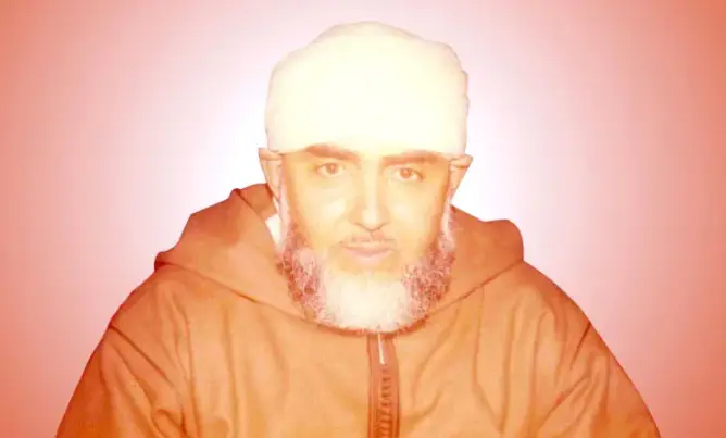 الملك يستقبل جمال البودشيشي بعد وفاة والده