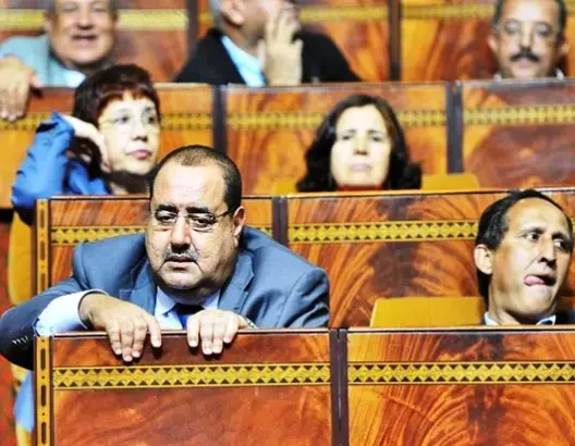 الناجي: ترؤس الوردة للبرلمان “حماقة” والمخزن “انتهى”