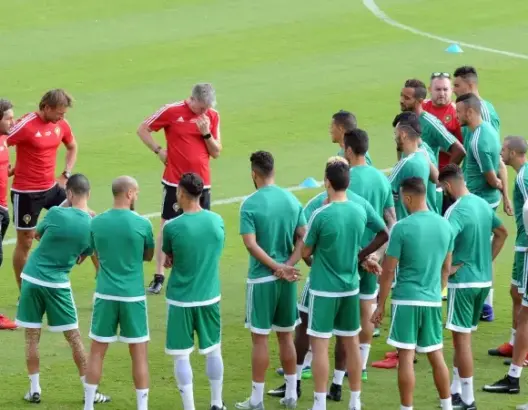 الأسود يواجهون فنلندا وديا قبل السفر إلى الغابون