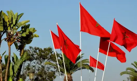 مسؤول ألماني يدعو لتصنيف المغرب كدولة آمنة