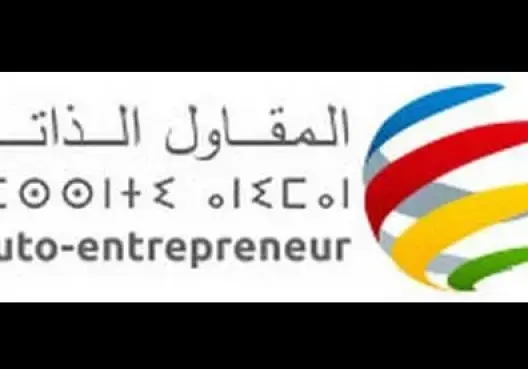 إحداث أزيد من 74 ألف مقاولة ذاتية على الصعيد الوطني في 2016