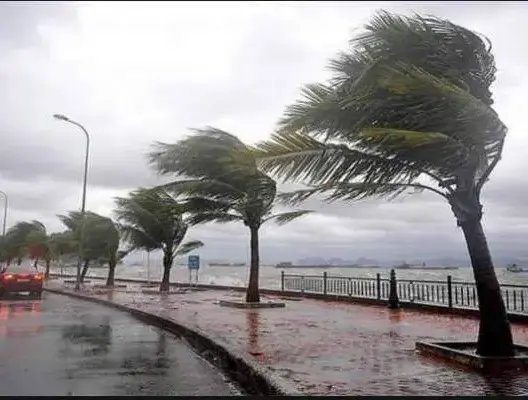 نشرة خاصة: أمطار عاصفية مع هبوب رياح قوية بهذه المناطق