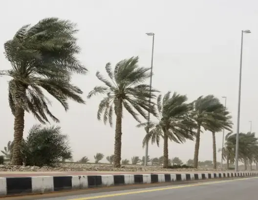الأرصاد: رياح قوية ستصل سرعتها لـ85 كلم في الساعة