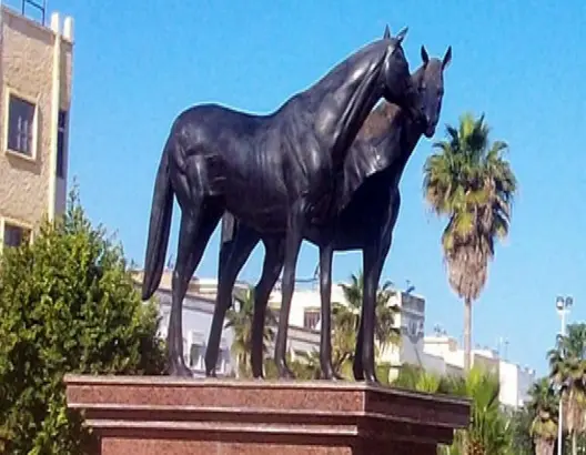 مدينة الخميسات والتنمية المفقودة