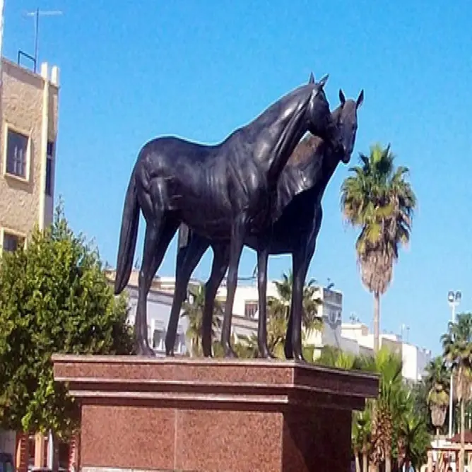 مدينة الخميسات والتنمية المفقودة