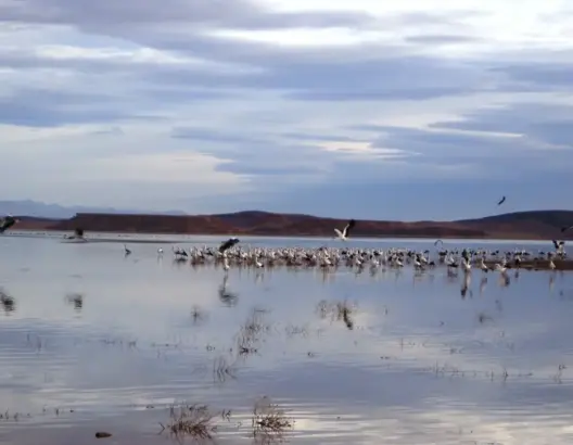 التوقيع على 4 اتفاقيات شراكة للمحافظة على المناطق الرطبة بالمغرب