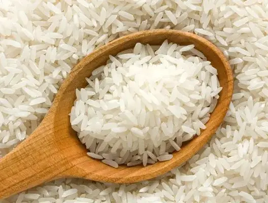 خبراء صينيون يطورون نوعا جديدا من الأرز يقاوم الأمراض والحشرات