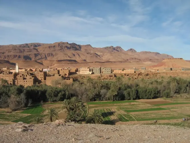 عاجل.. العثور على جثة مفحمة بمدينة أرفود