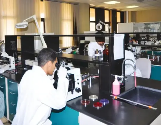 العلوي: يجب تدريس الطب بالعربية.. والفرنسية تراجعت