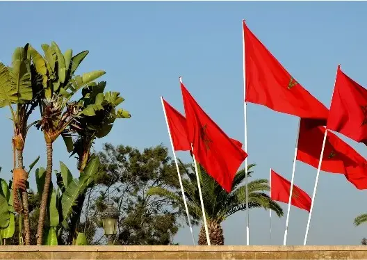 المغرب يطلب رسميا الانضمام للمجموعة الاقتصادية لدول غرب إفريقيا