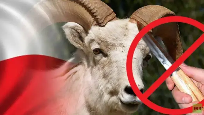 لا تتناولوا لحم الأضاحي مباشرة بعد ذبحها