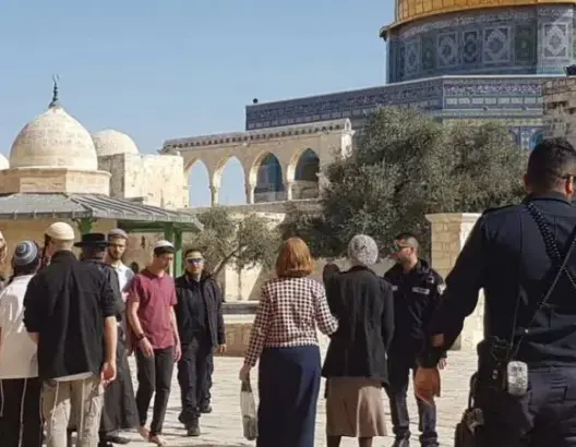 131 مستوطنا يقتحمون المسجد الأقصى