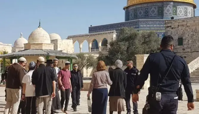 131 مستوطنا يقتحمون المسجد الأقصى