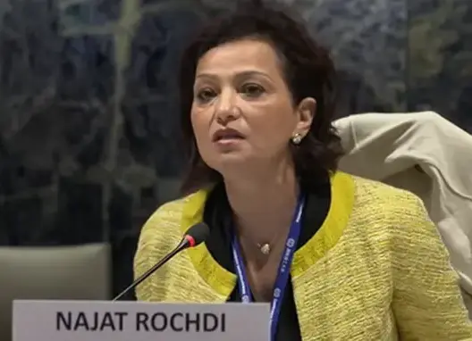 من هي رشدي نائبة الممثل الخاص لبعثة الأمم المتحدة بإفريقيا الوسطى؟