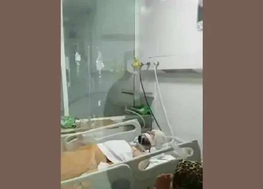 وفاة الطالب أسامة الذي دهسته حافلة نقل المدينة بالمحمدية