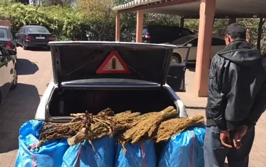 حجز 5 أكياس من الكيف والتبغ المهرب في مدخل مراكش