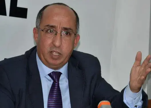 المنوزي: العقل الأمني بالدولة لا تهمه الديموقراطية بل الاستقرار