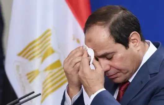 هذا ما قرره الرئيس السيسي حول مباراة مصر والكونغو (فيديو)