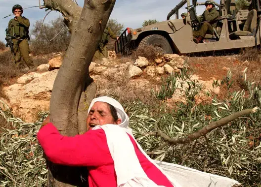 الفلسطينيون يحيون الذكرى 41 ليوم الأرض .. ويستمر الإستيطان