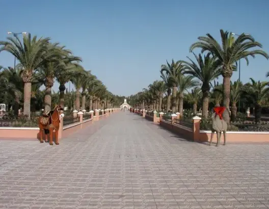 اليوسفية أجمل مدينة في العالم !!