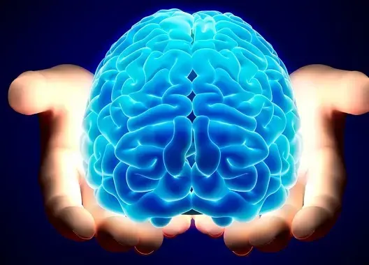 دراسة: الدماغ يحتفظ بنسختين من الذاكرة في آن واحد