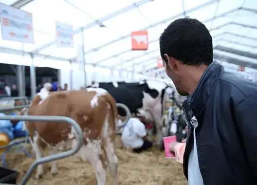 معرض الفلاحة يراهن على مليون زائر .. وهذه أهم أرقام دورته الجديدة