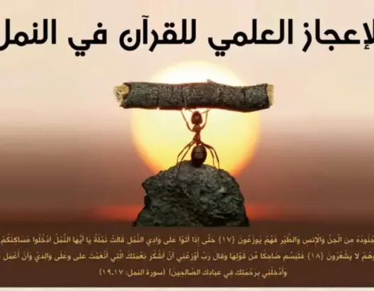 الإعجاز العلمي في القرآن بين الوهم والحقيقة