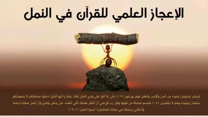 الإعجاز العلمي في القرآن بين الوهم والحقيقة