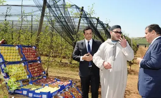 أخنوش يقدم للملك الخطوط الكبرى لـ”الجيل الأخضر” و”غابات المغرب”