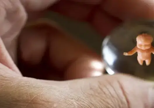 علماء أمريكيون يؤكدون نجاح تجربة أول رحم اصطناعي