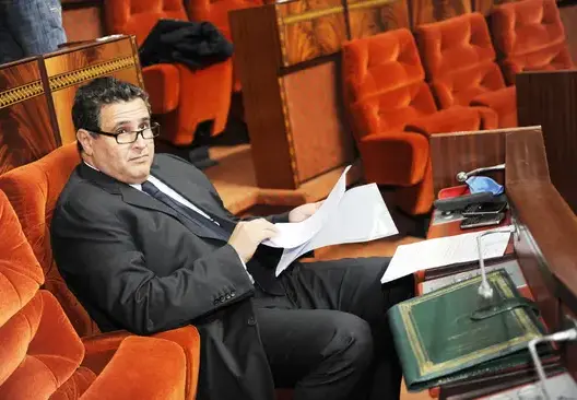 منتجو التمور بزاكورة يشكون لأخنوش “إقصاءهم” من فدرالية وطنية