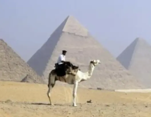 موسوعة غينيس تدخل مصر