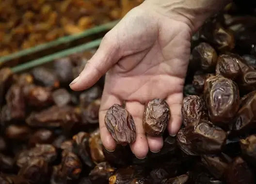 ناصيري يحرج الحكومة.. تمور “إسرائيل” تغزو الأسواق في رمضان