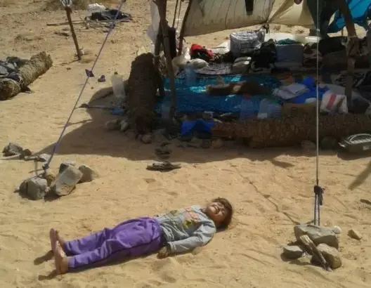 العثماني يعد بحل أزمة السوريين العالقين على الحدود مع الجزائر