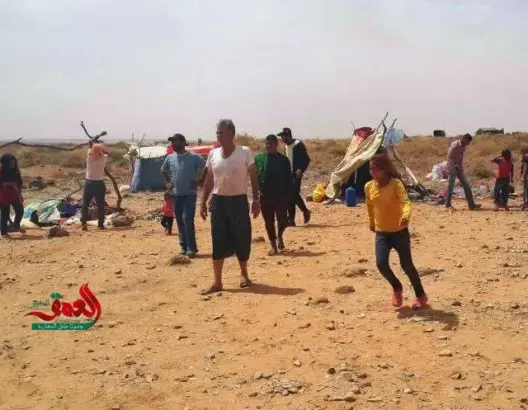 سوريون عالقون على الحدود بدون ماء منذ 4 أيام والرياح تقتلع خيامهم (فيديو)