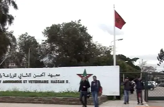 20 عالما إفريقيا يستفيدون من تكوين نظمه معهد الحسن الثاني للزراعة والبيطرة