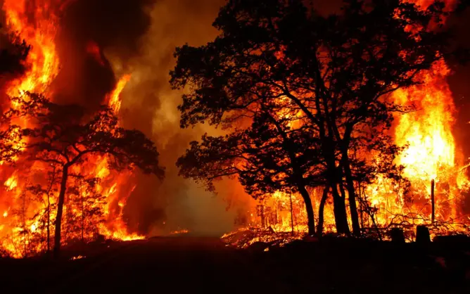ارتفاع حصيلة الحريق الغابوي بالبرتغال إلى 57 قتيلا