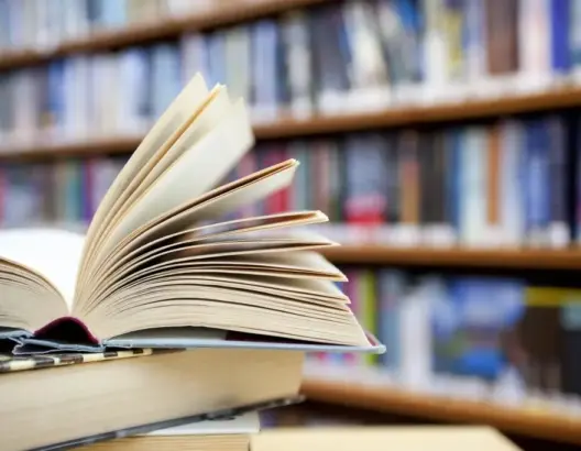 “مستودع التعسف”.. رواية تاريخية بقلم نور الدين أمير