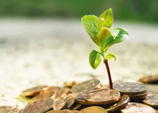 المجلس العلمي يفتي بتحديد مقدار الزكاة في 15 درهما كحد أدنى