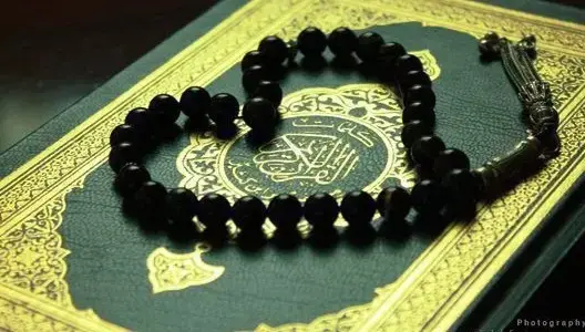 مسلمو الدنمارك يحتشدون في مسيرة نصرة للقرآن الكريم