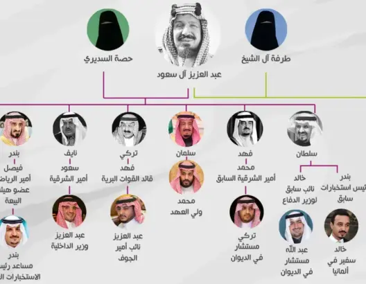“السدايرة” يعززون قبضتهم على حكم السعودية وسط تخوفات أمنية