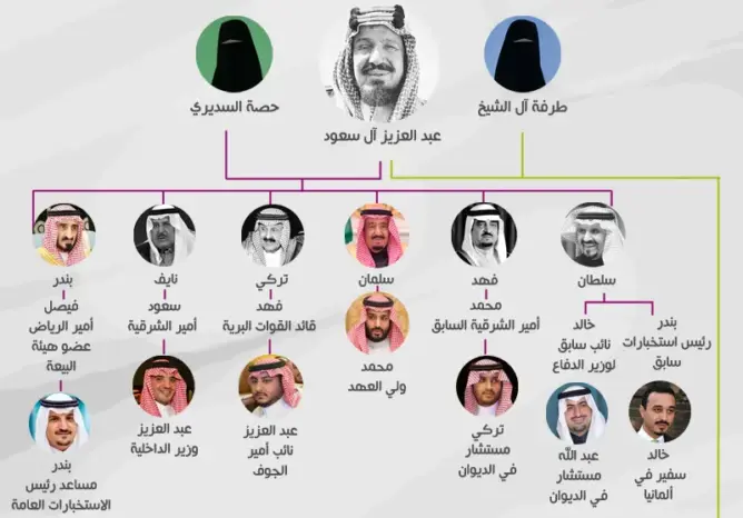 “السدايرة” يعززون قبضتهم على حكم السعودية وسط تخوفات أمنية