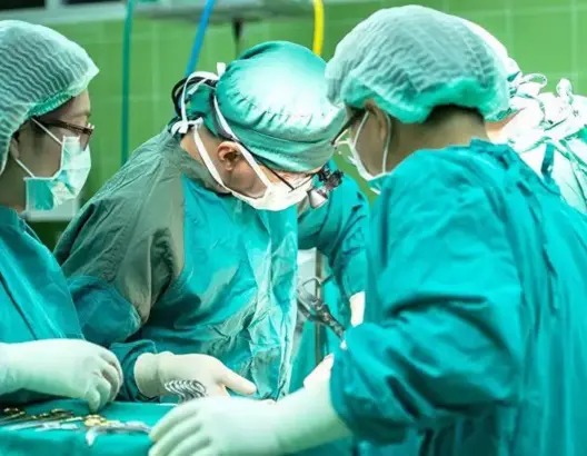 تطور مثير للجدل في زراعة أول رأس في العالم