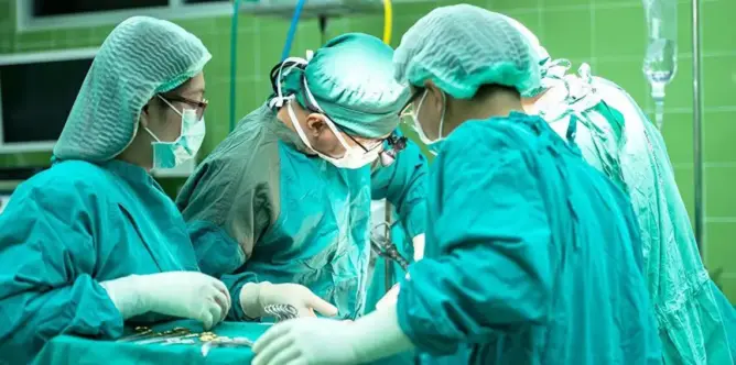 تطور مثير للجدل في زراعة أول رأس في العالم