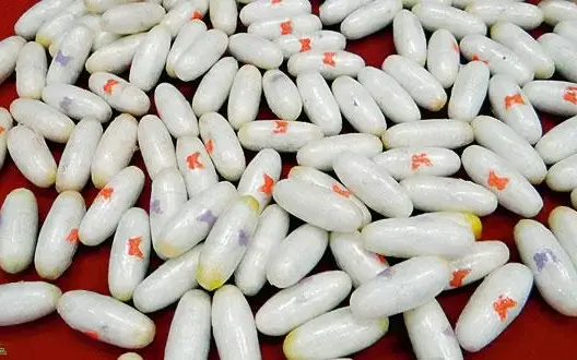 ضبط 315 كبسولة من الكوكايين بأمعاء 4 مهاجرين بمطار البيضاء