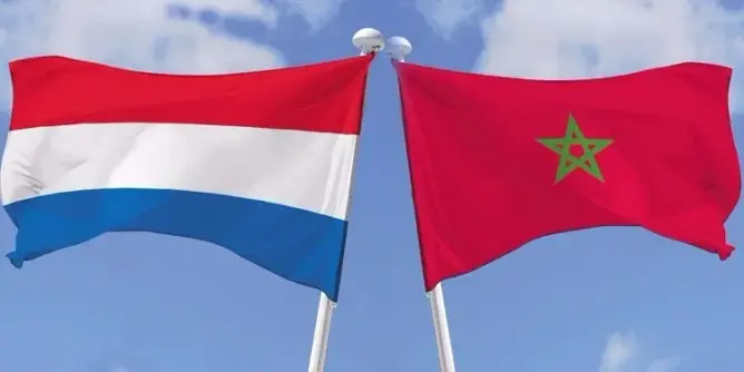 المغرب “مزهوٌّ” بالتعاون الهولندي ويعد بمحاكمة عادلة لشعو