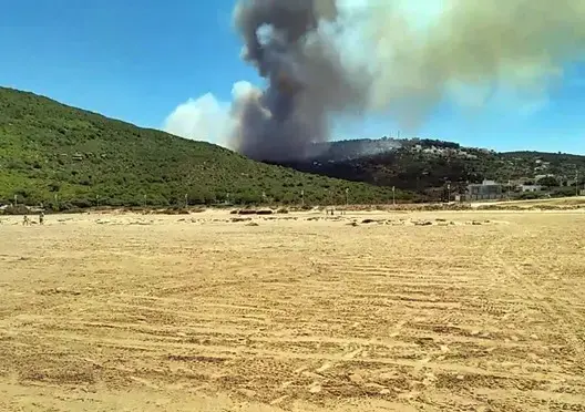 عسالي: 6 طائرات و700 عنصر عملوا على إخماد حريق طنجة