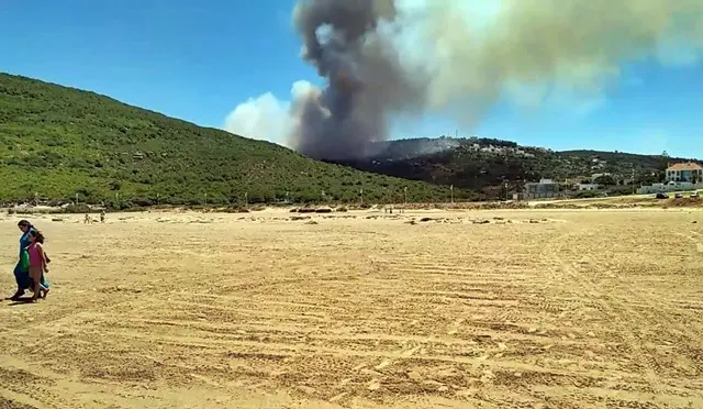عسالي: 6 طائرات و700 عنصر عملوا على إخماد حريق طنجة