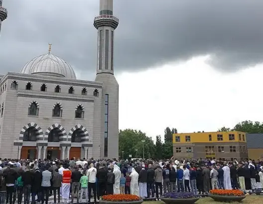 هولندا.. قيادي سابق بحزب معادي للإسلام يترأس حزباً أسسه مسلمون